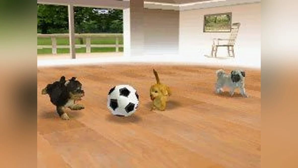 Скриншоты из Nintendogs / Картинка 18