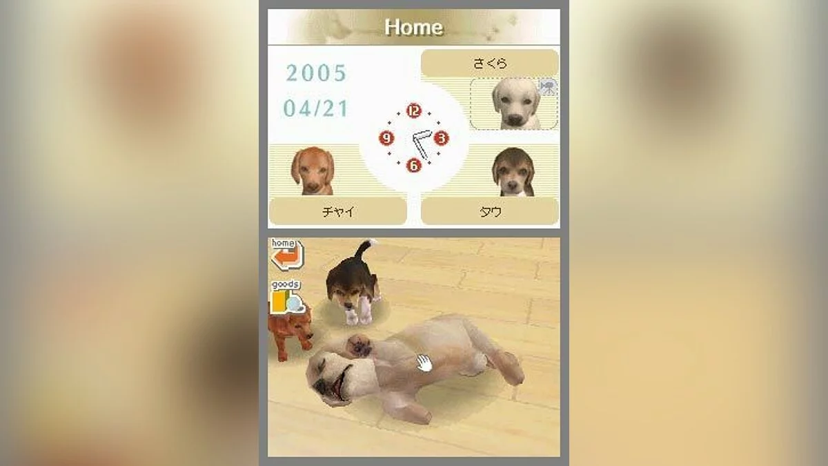 Скриншоты из Nintendogs / Картинка 20