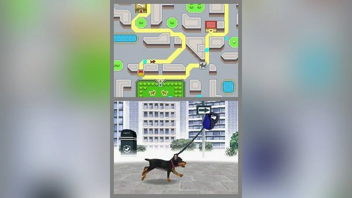 Скриншоты из Nintendogs / Картинка 23