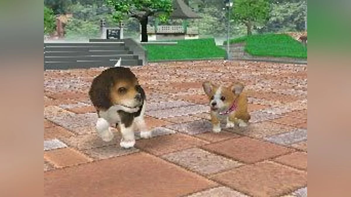Скриншоты из Nintendogs / Картинка 25