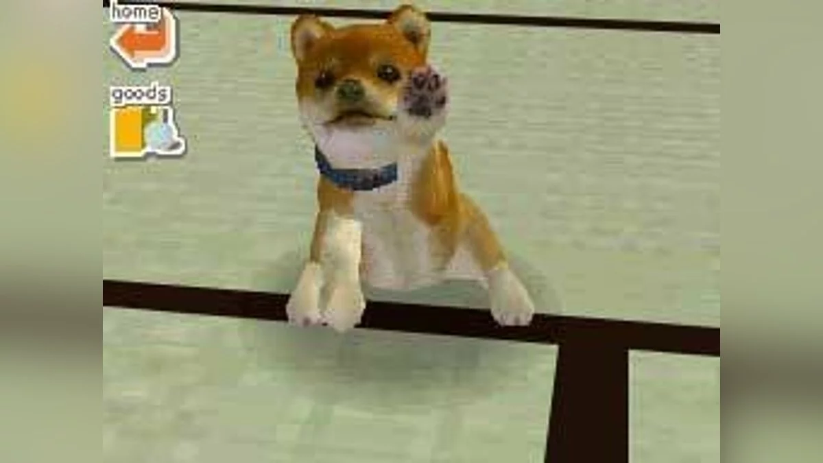 Скриншоты из Nintendogs / Картинка 27