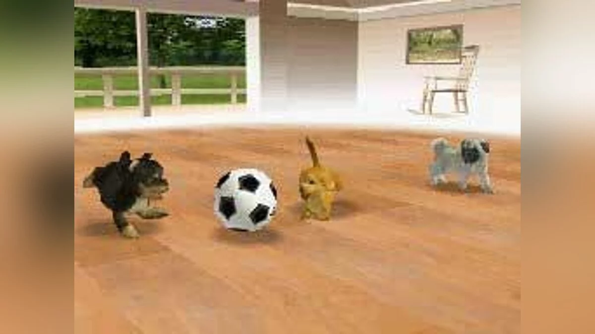 Скриншоты из Nintendogs / Картинка 28