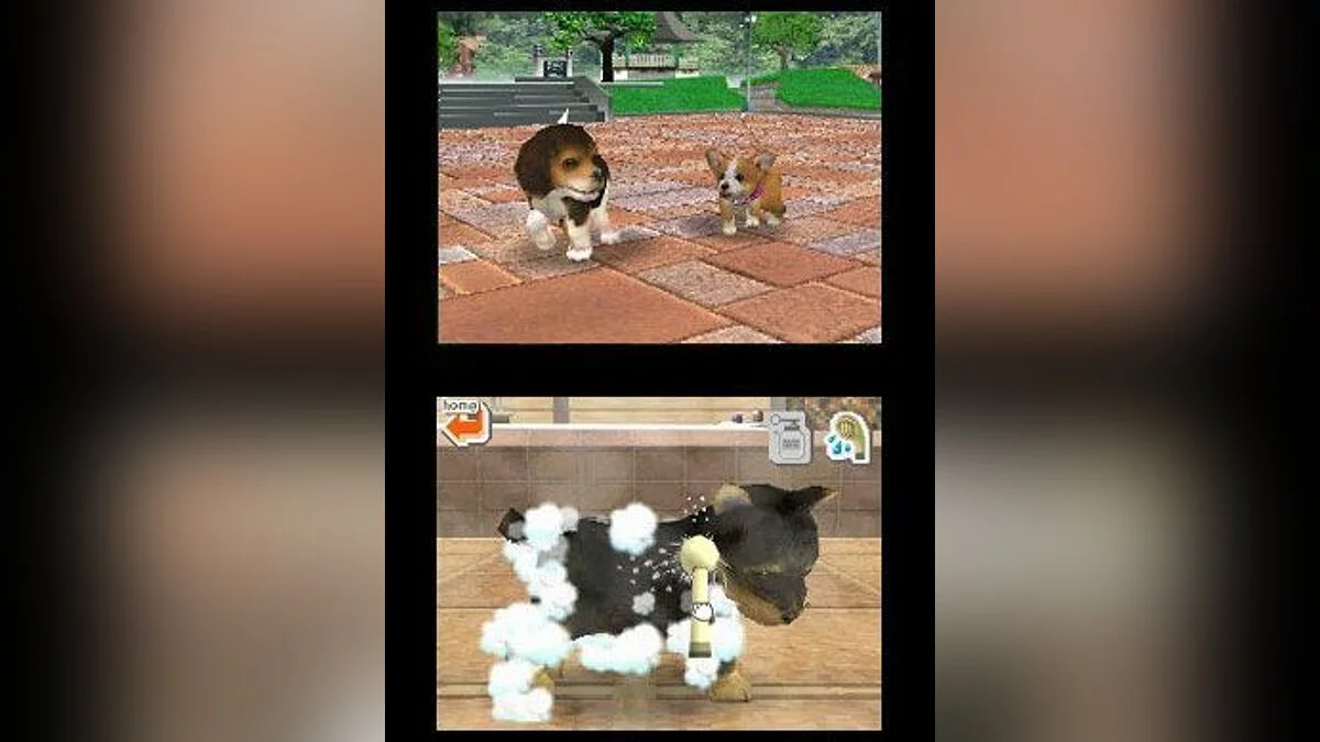 Скриншоты из Nintendogs / Картинка 32