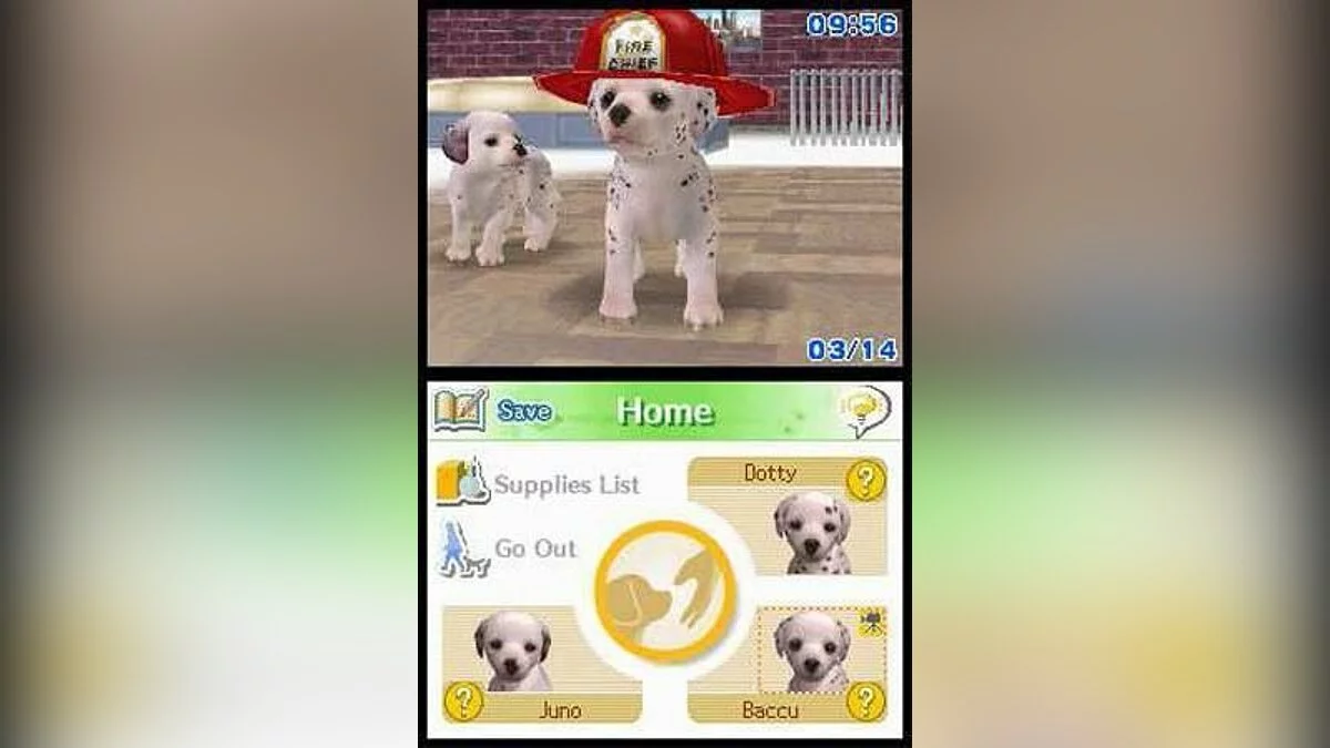 Скриншоты из Nintendogs / Картинка 33