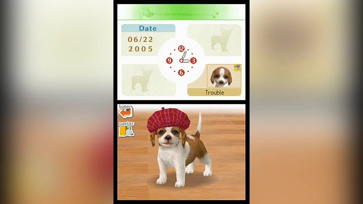 Скриншоты из Nintendogs / Картинка 35