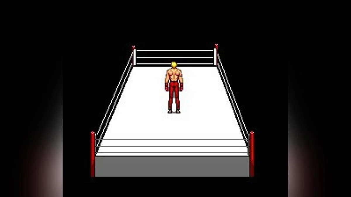 Скриншоты из Panza Kick Boxing / Картинка 57