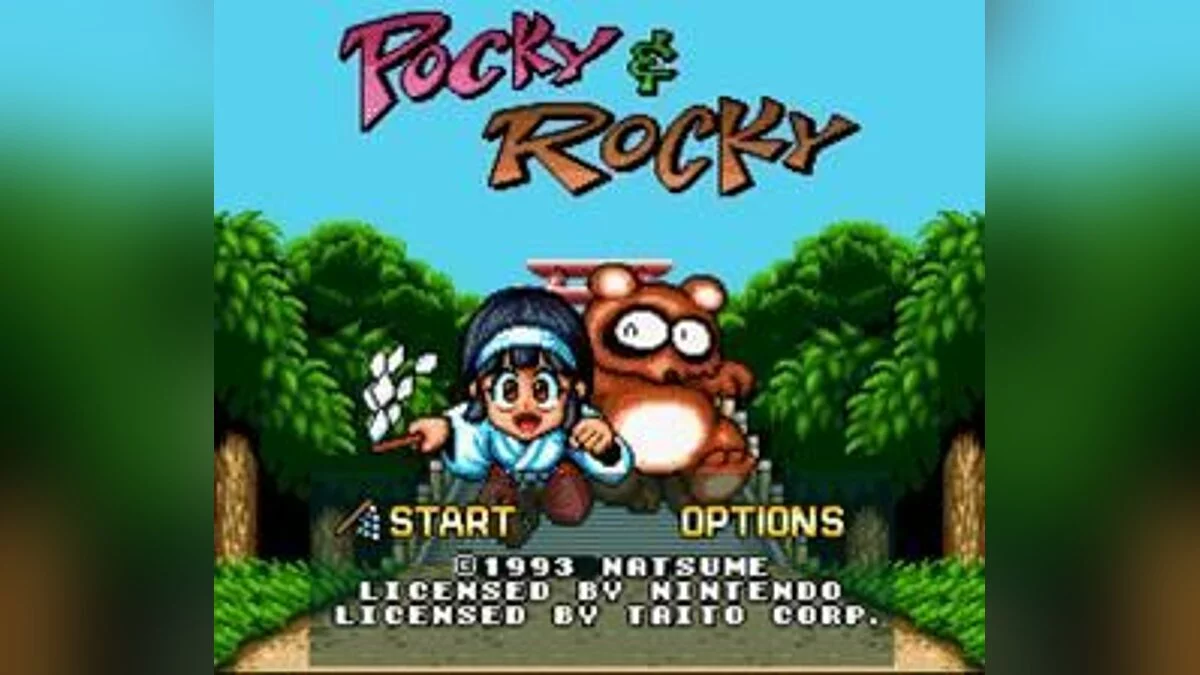Скриншоты из Pocky & Rocky / Картинка 1
