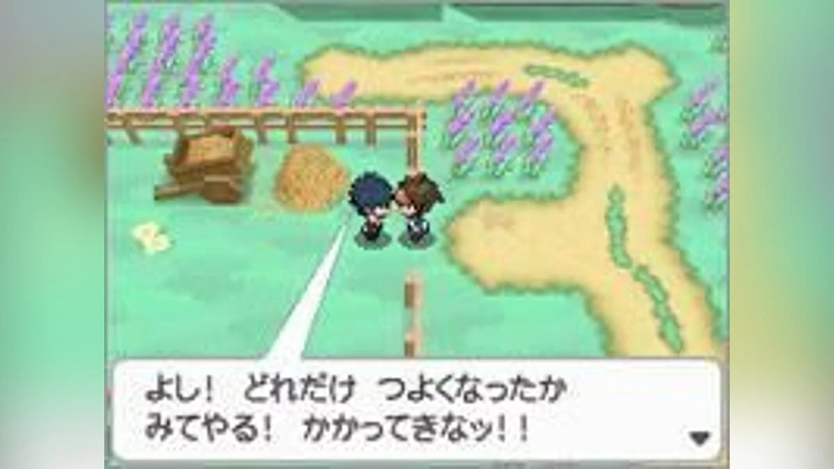 Скриншоты из Pokémon Black/White Version 2 / Картинка 17