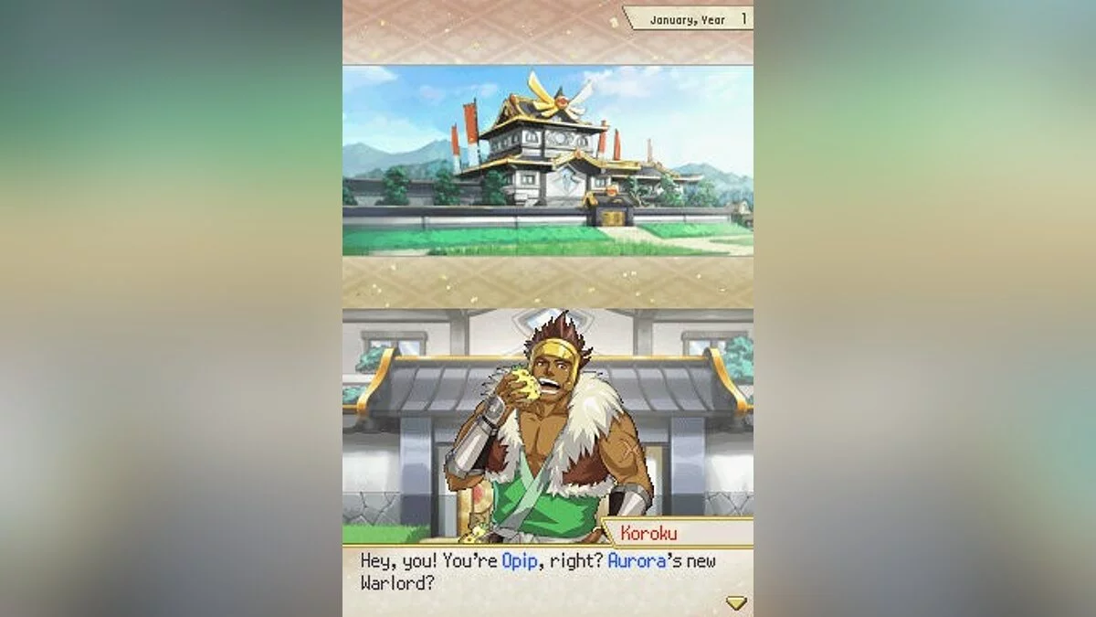 Скриншоты из Pokémon Conquest / Картинка 35
