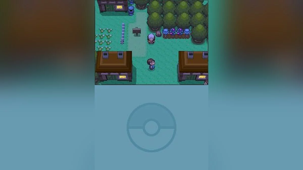 Скриншоты из Pokémon Diamond Version / Картинка 39