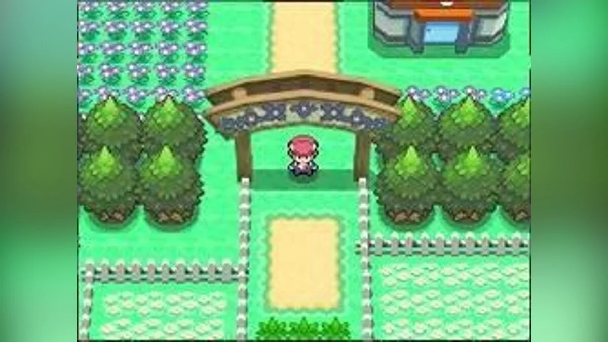 Скриншоты из Pokémon Platinum Version / Картинка 7