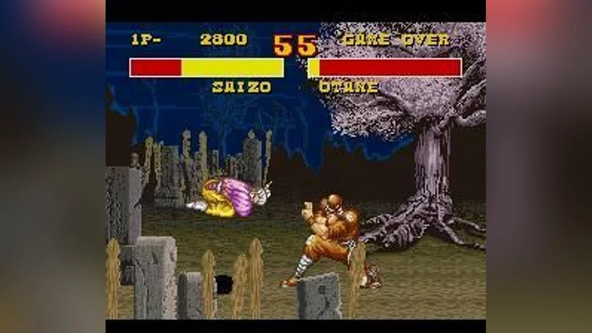 Скриншоты из Power Instinct / Картинка 2