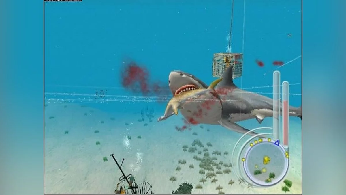 Скриншоты из Jaws: Unleashed / Картинка 51