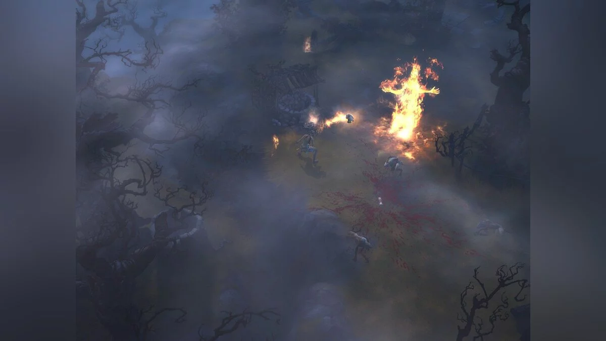 Скриншоты из Diablo 3 / Картинка 161