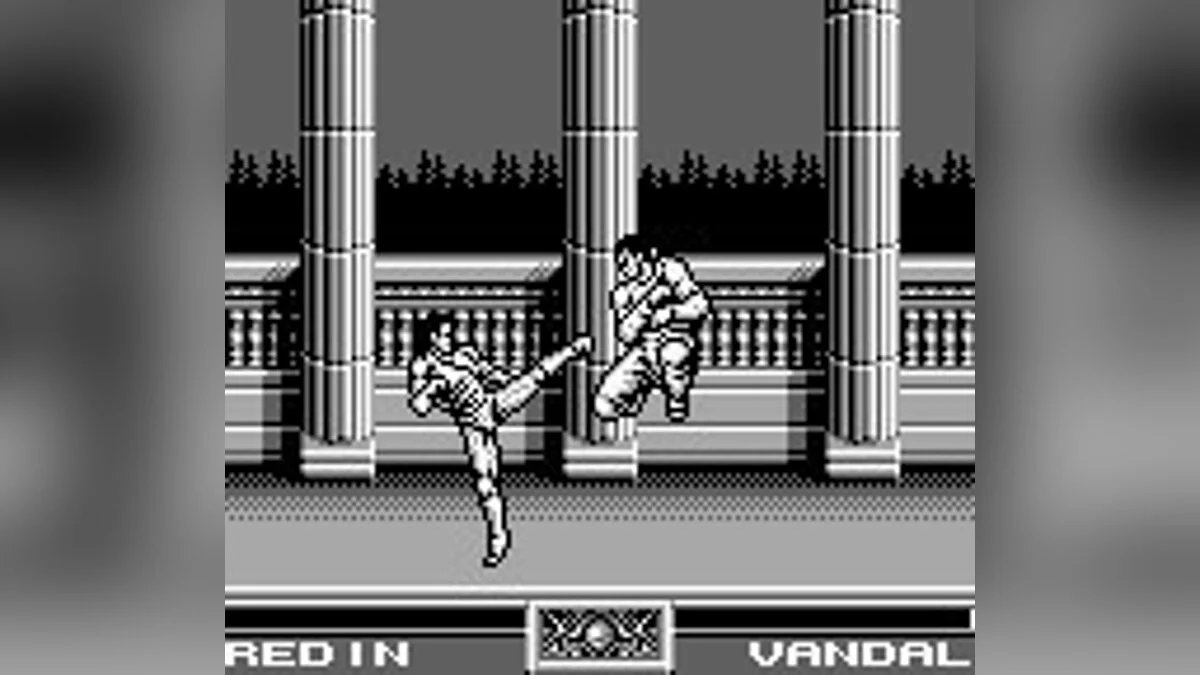 Скриншоты из Raging Fighter / Картинка 13