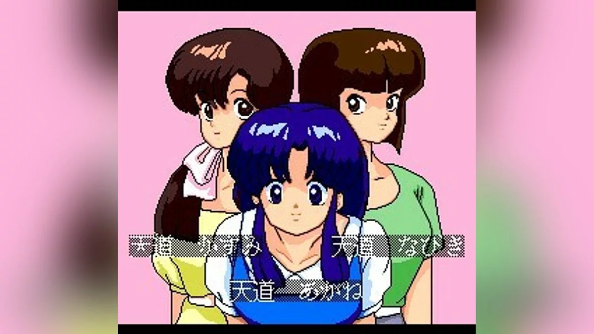 Скриншоты из Ranma 1/2 / Картинка 15