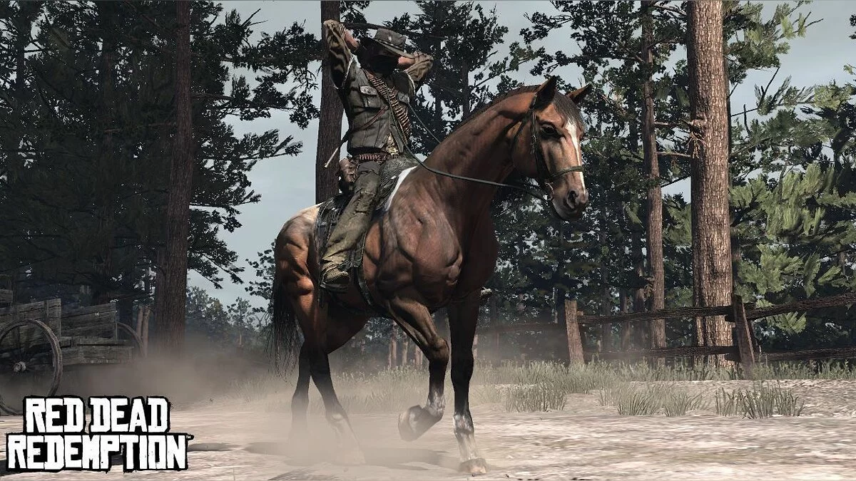 Скриншоты из Red Dead Redemption / Картинка 35