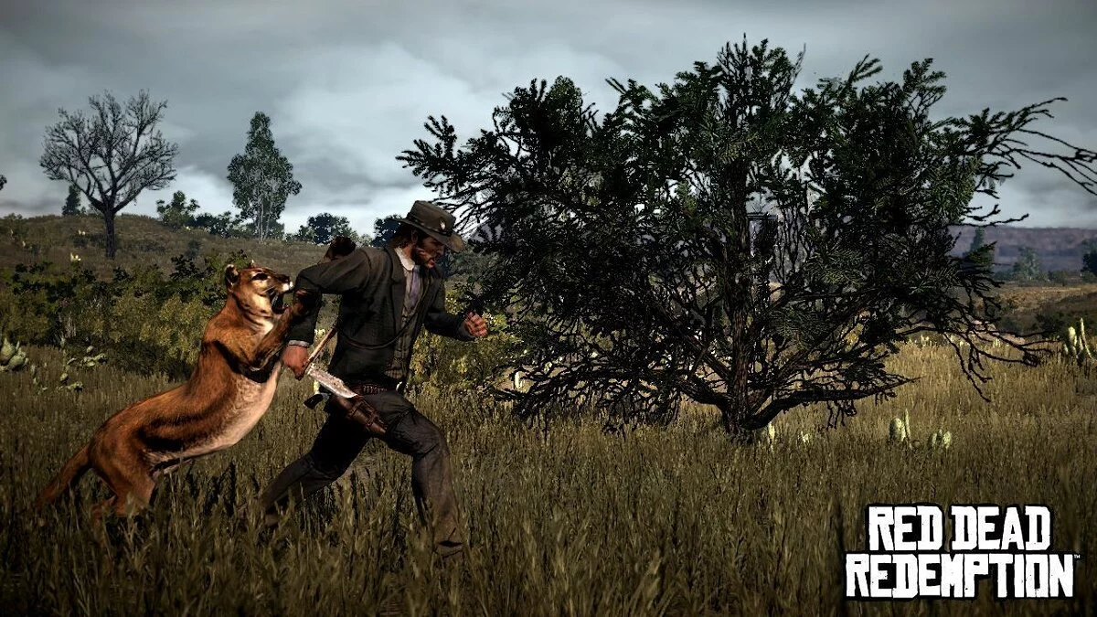 Скриншоты из Red Dead Redemption / Картинка 61