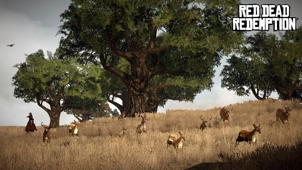 Скриншоты из Red Dead Redemption / Картинка 62