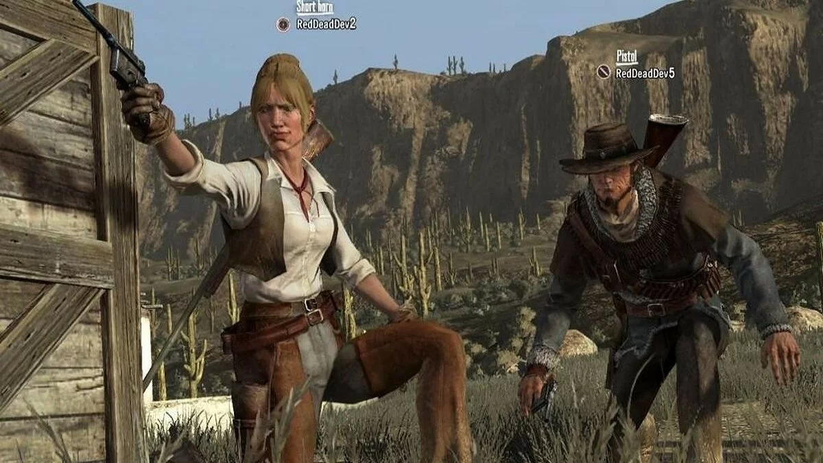 Скриншоты из Red Dead Redemption / Картинка 148