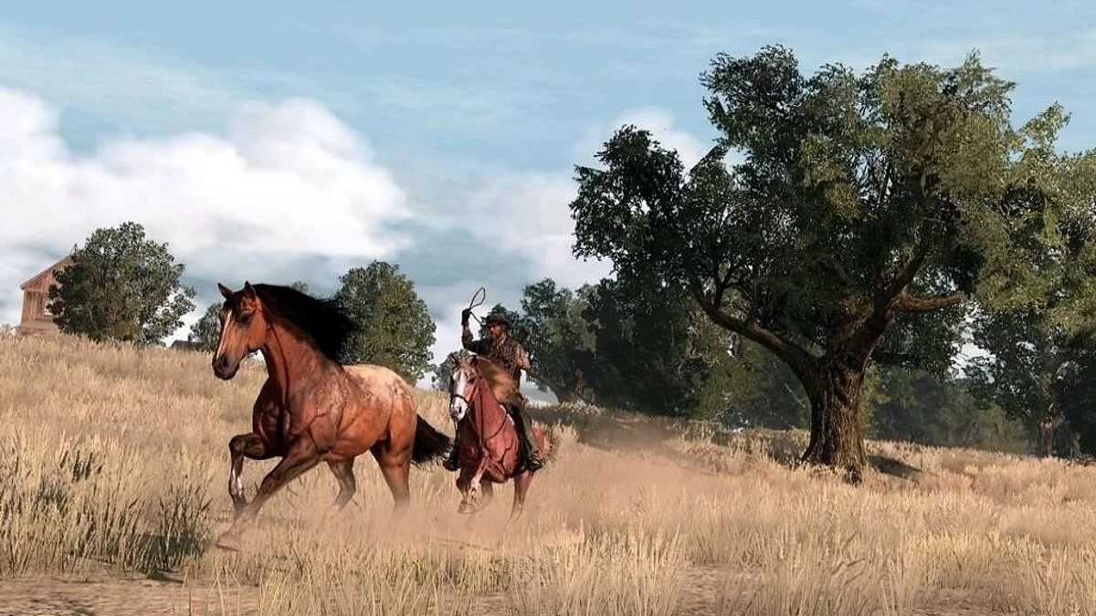 Скриншоты из Red Dead Redemption / Картинка 202