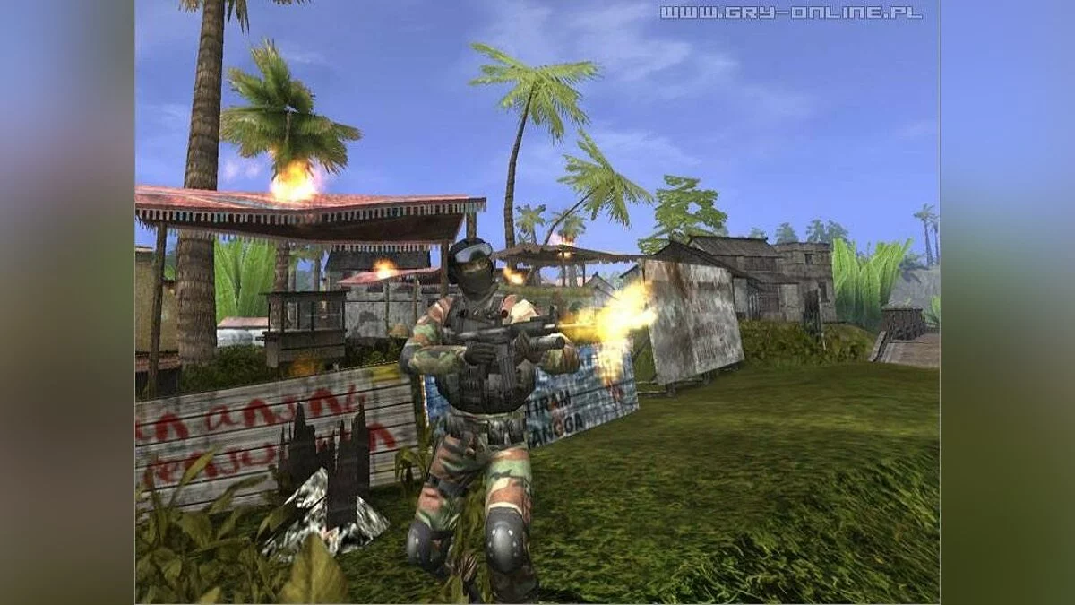 Скриншоты из Joint Operations: Escalation / Картинка 16
