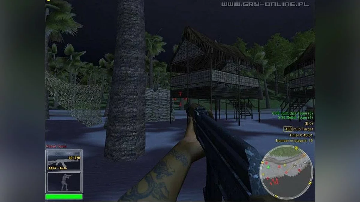Скриншоты из Joint Operations: Typhoon Rising / Картинка 51