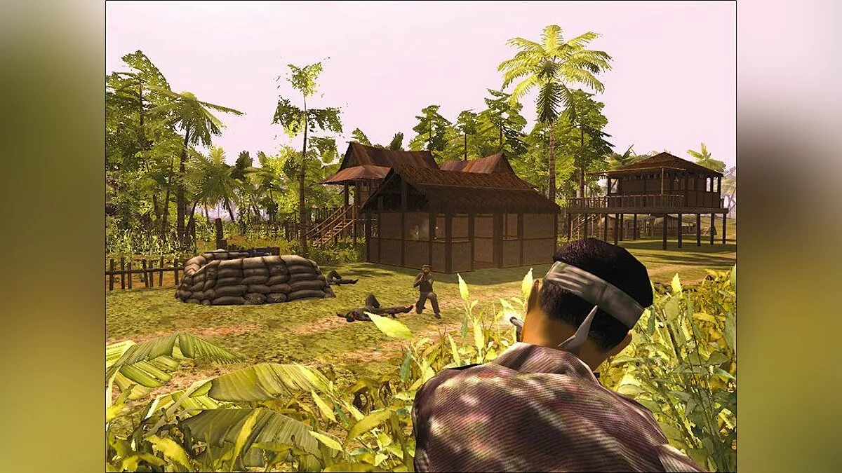 Скриншоты из Joint Operations: Typhoon Rising / Картинка 14