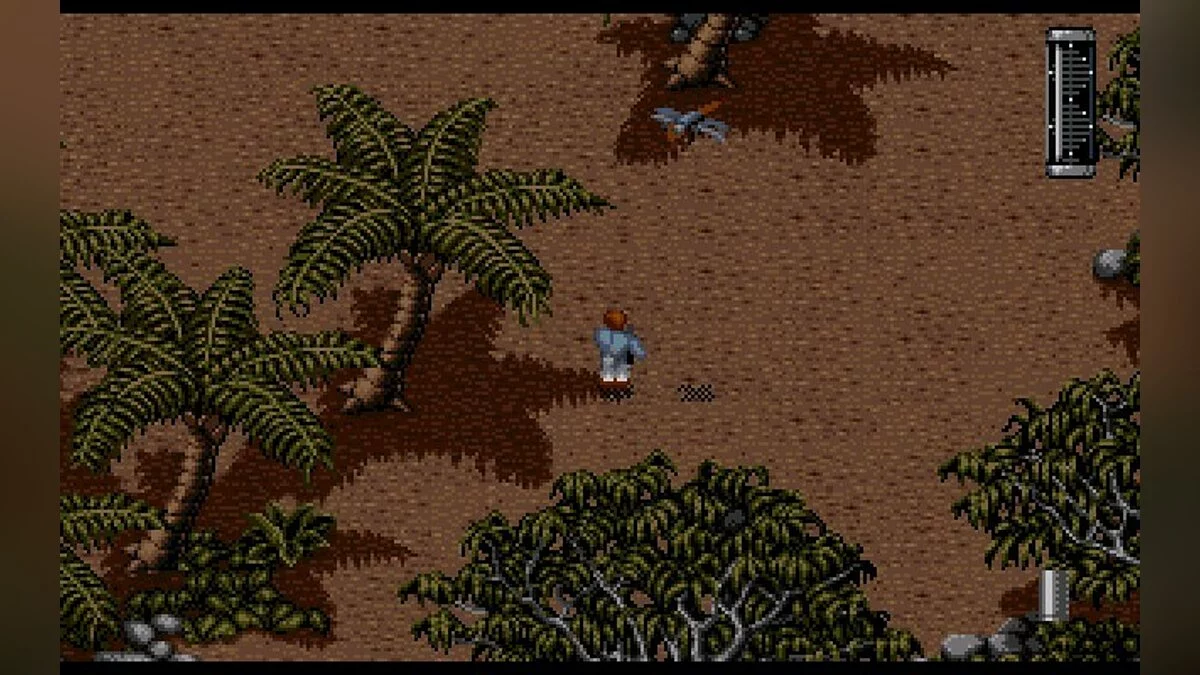 Скриншоты из Jurassic Park / Картинка 144