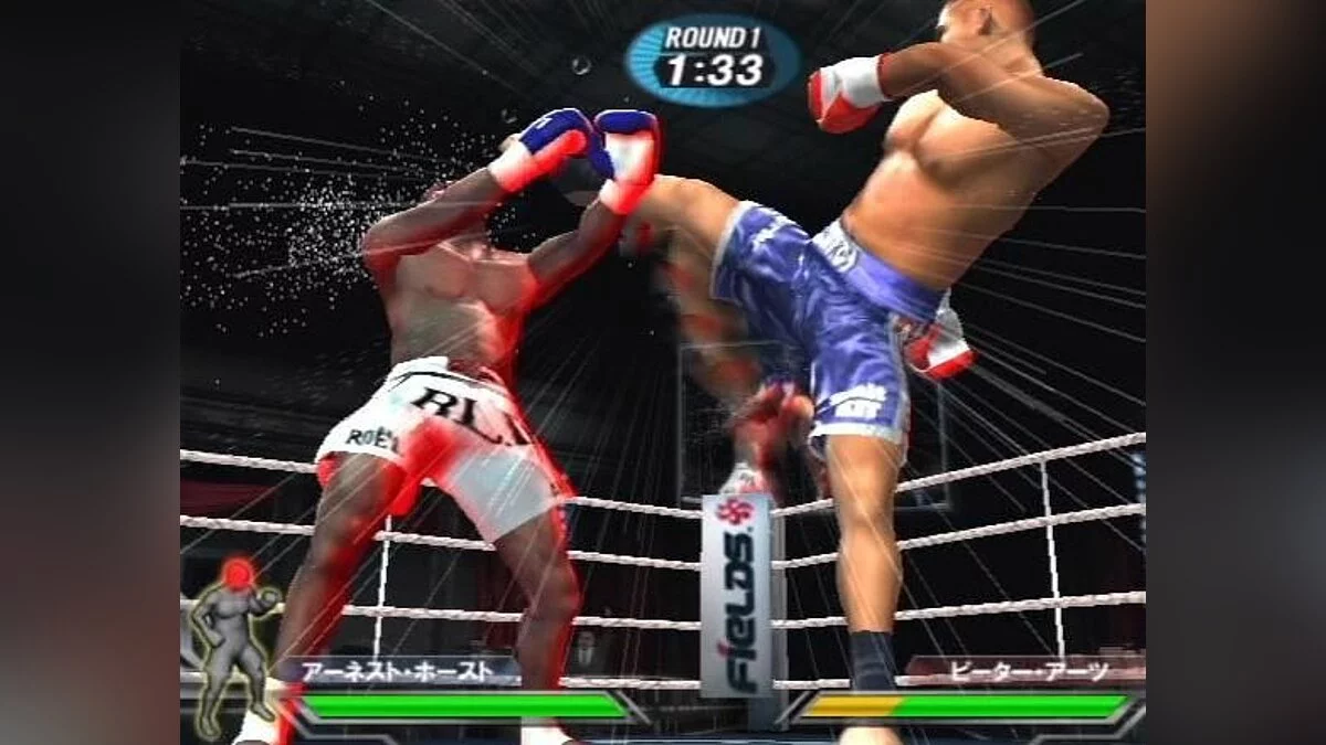 Скриншоты из K-1 World GP 2006 / Картинка 8