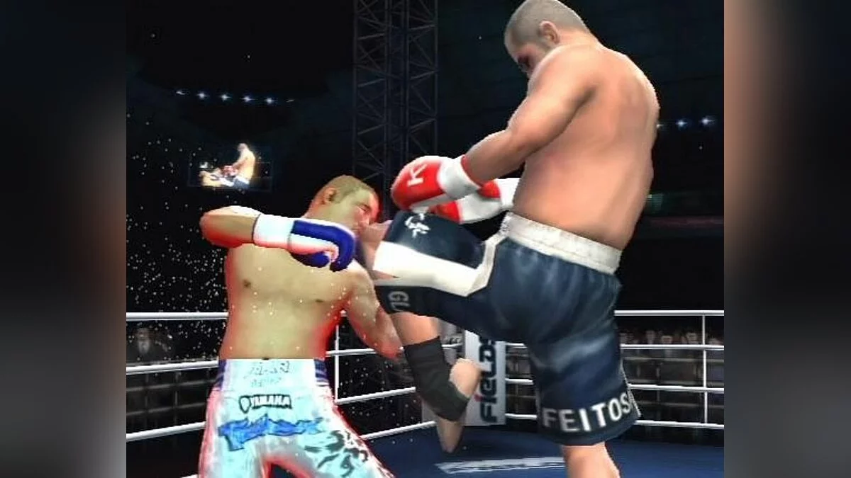Скриншоты из K-1 World GP 2006 / Картинка 11