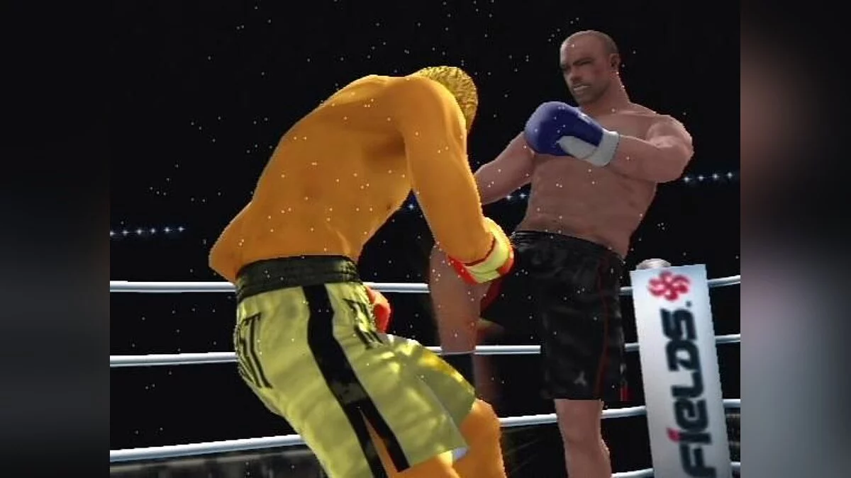 Скриншоты из K-1 World GP 2006 / Картинка 16