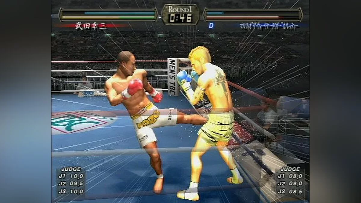 Скриншоты из K-1 World Max 2005 / Картинка 11