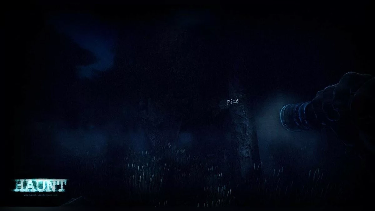 Скриншоты из Haunted Memories / Картинка 13