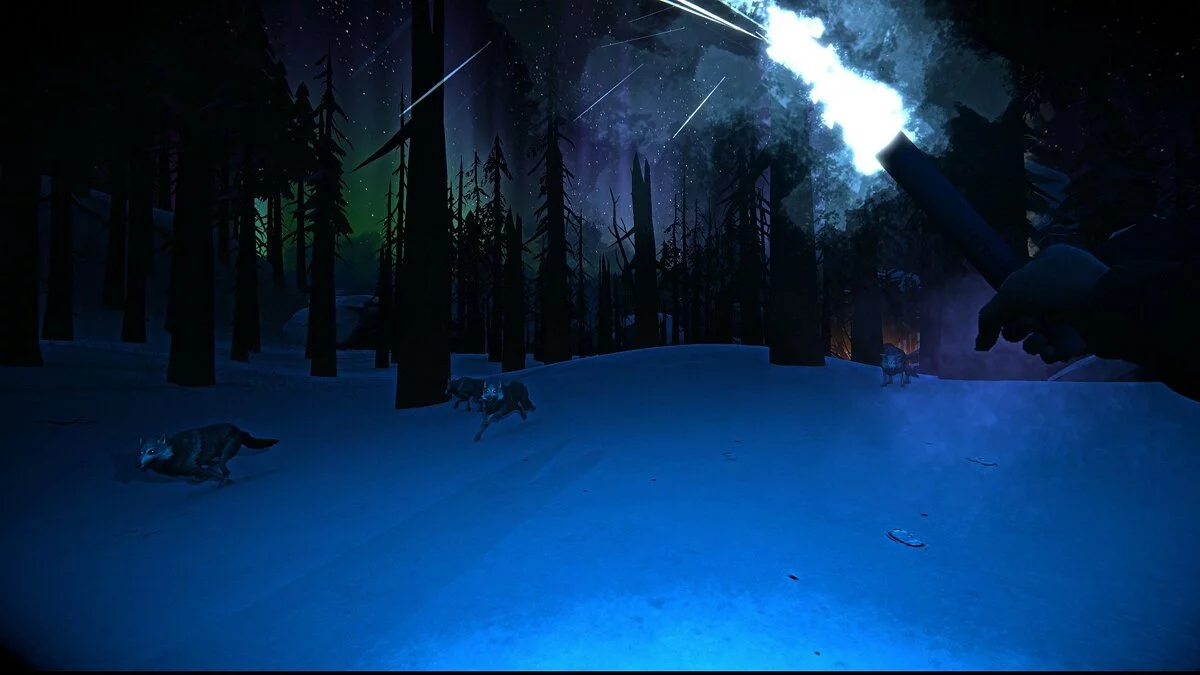 Скриншоты из The Long Dark / Картинка 45