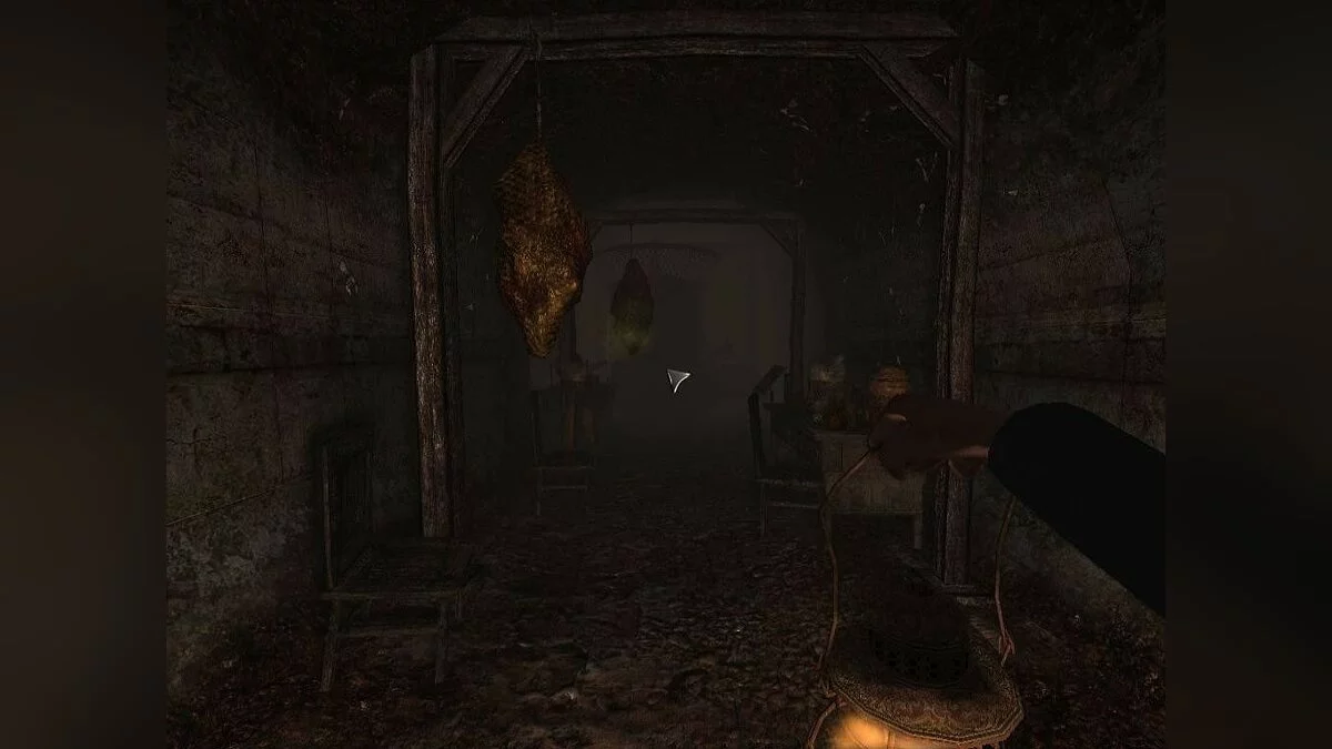 Скриншоты из Darkness Within 2: The Dark Lineage / Картинка 9