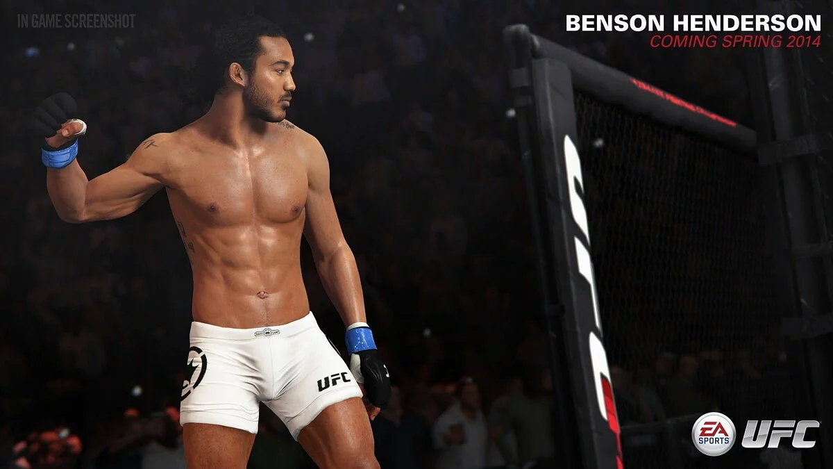 Скриншоты из EA Sports UFC / Картинка 13