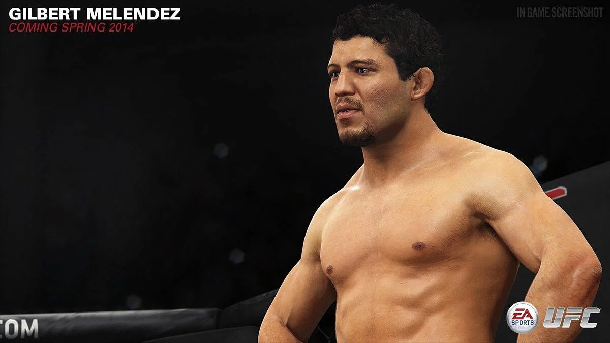 Скриншоты из EA Sports UFC / Картинка 14