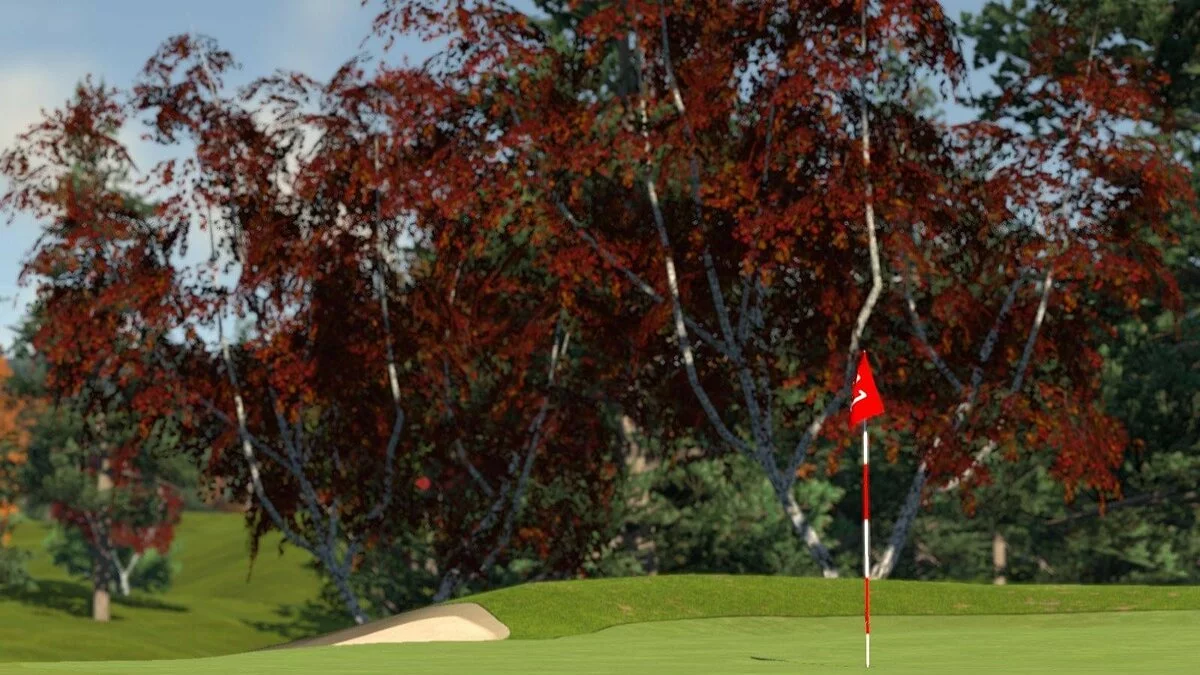 Скриншоты из Golf Club / Картинка 62
