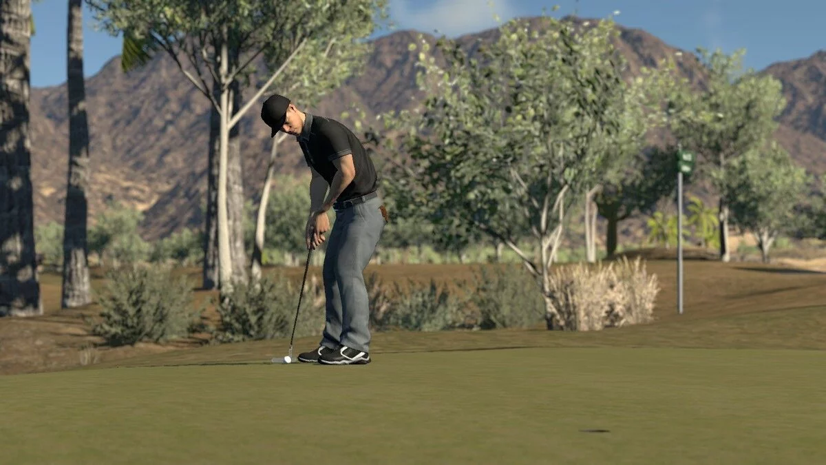 Скриншоты из Golf Club / Картинка 31