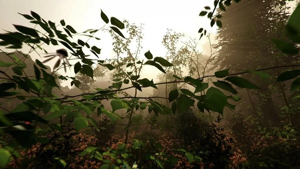 Скриншоты из The Forest / Картинка 22