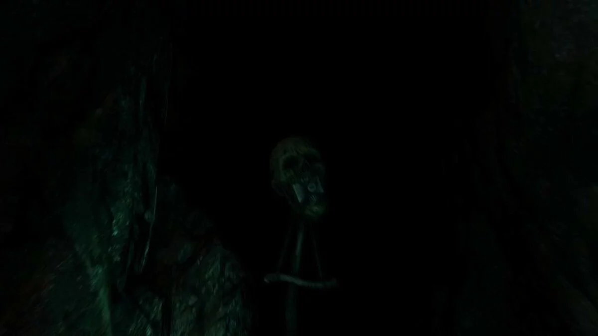 Скриншоты из The Forest / Картинка 24