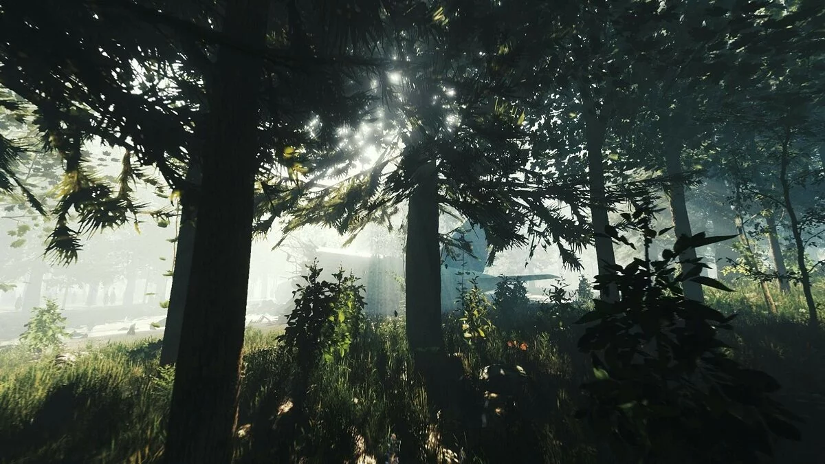 Скриншоты из The Forest / Картинка 27