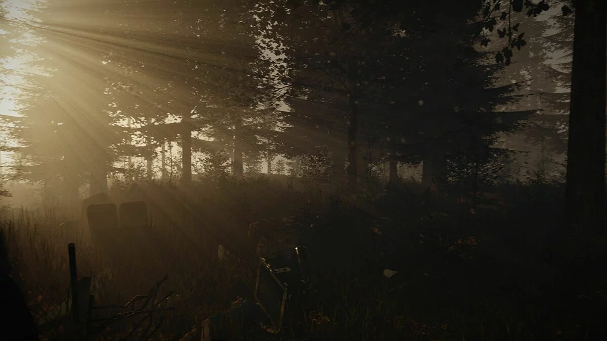 Скриншоты из The Forest / Картинка 3