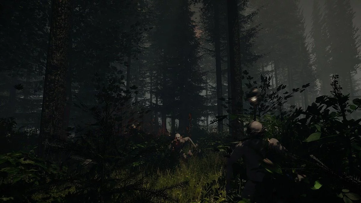 Скриншоты из The Forest / Картинка 6