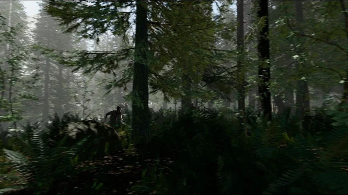 Скриншоты из The Forest / Картинка 14