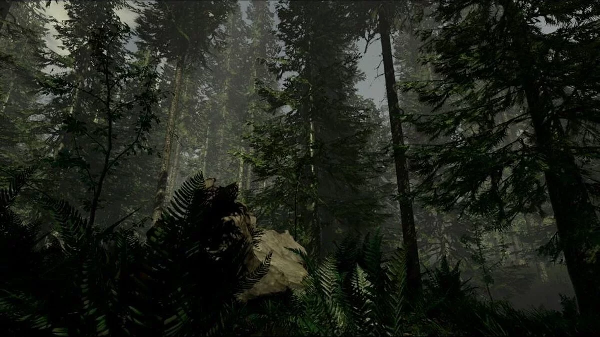 Скриншоты из The Forest / Картинка 15
