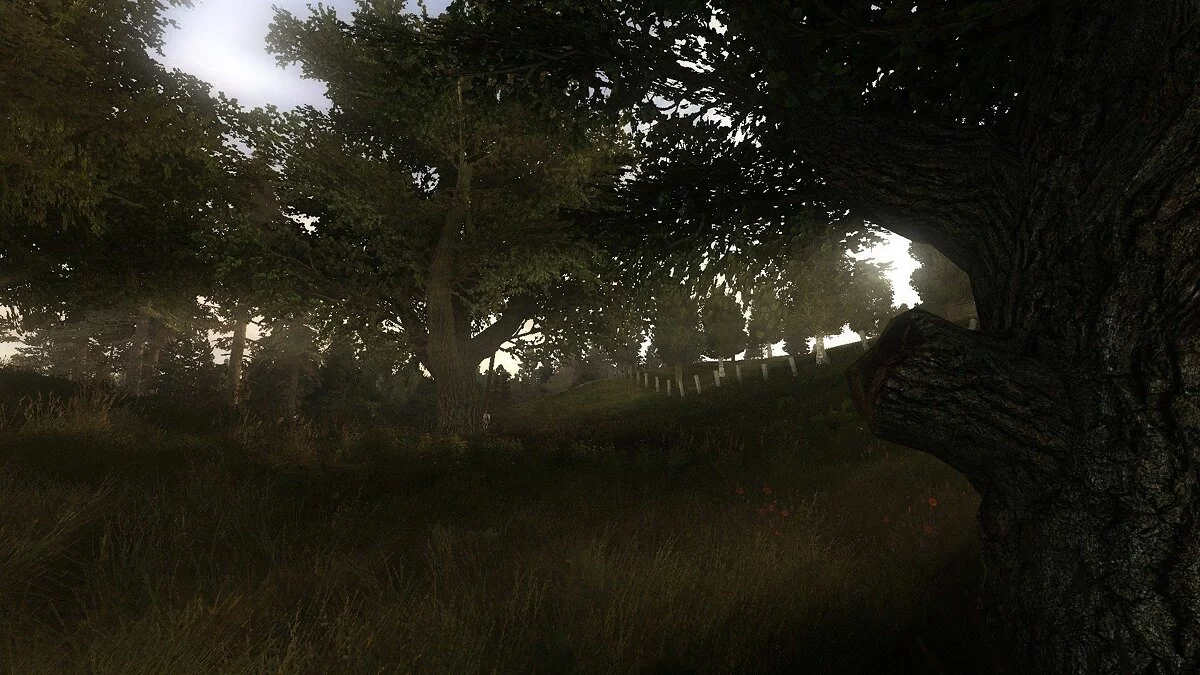 Скриншоты из S.T.A.L.K.E.R.: Lost Alpha / Картинка 35
