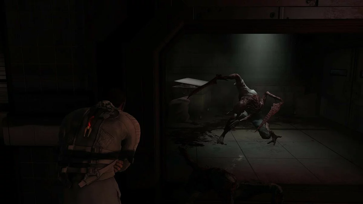 Скриншоты из Dead Space 2 / Картинка 324
