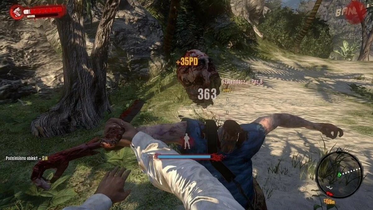 Скриншоты из Dead Island / Картинка 141